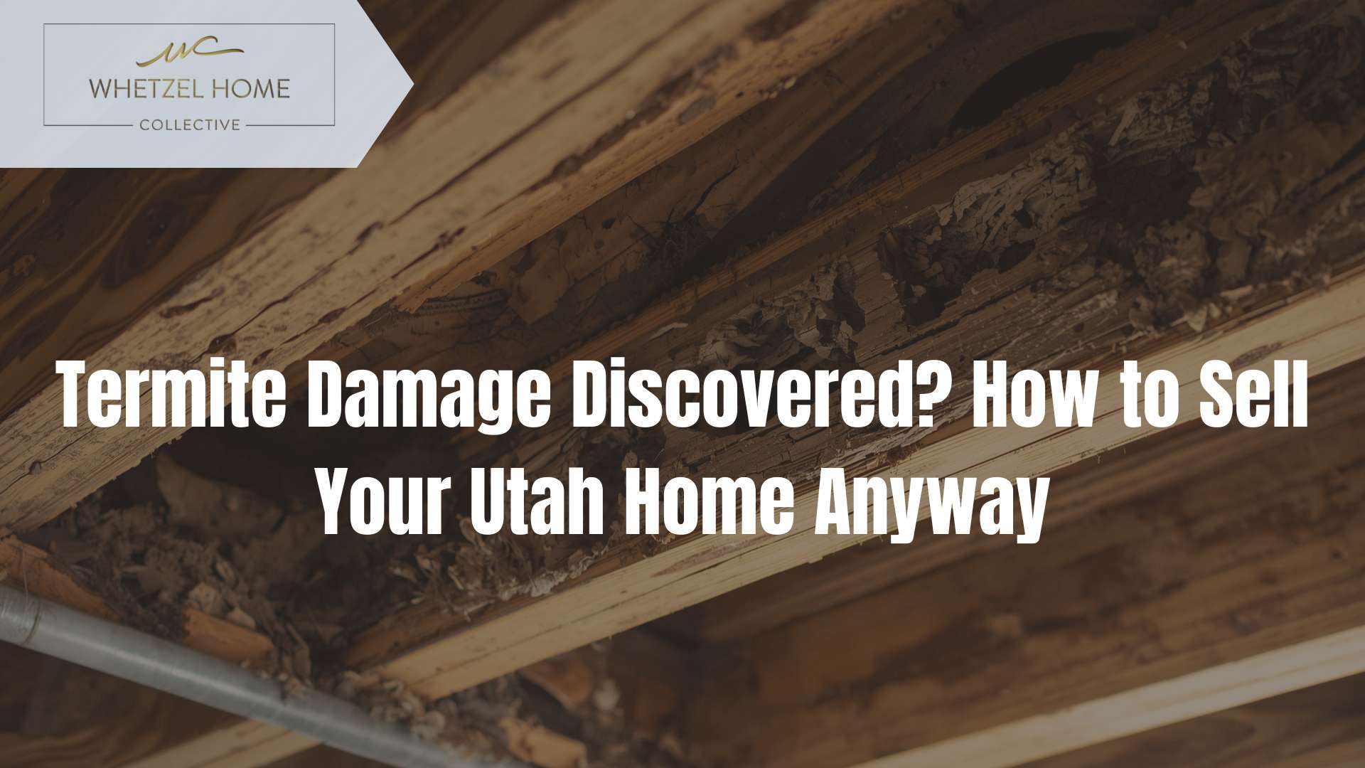 sell house with termite damage Utah