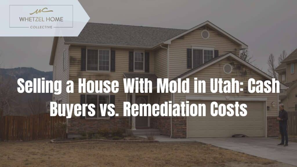 sell house with mold Utah