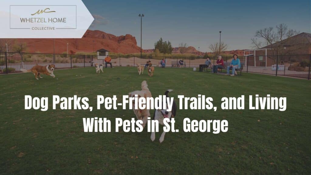 dog friendly St George Utah