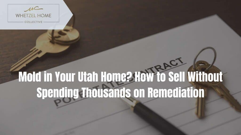sell house with mold utah