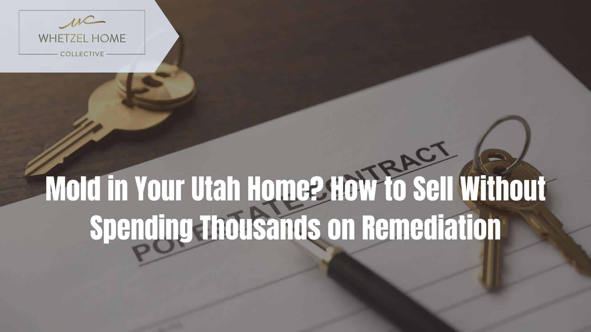 sell house with mold utah