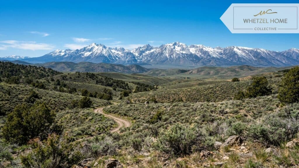 Wide expansive landscape of high-desert terrain showing rolling hills with sagebrush, juniper trees, and distant snow-capped mountain peaks under a bright clear blue sky, highly detailed, realistic nature photography.
