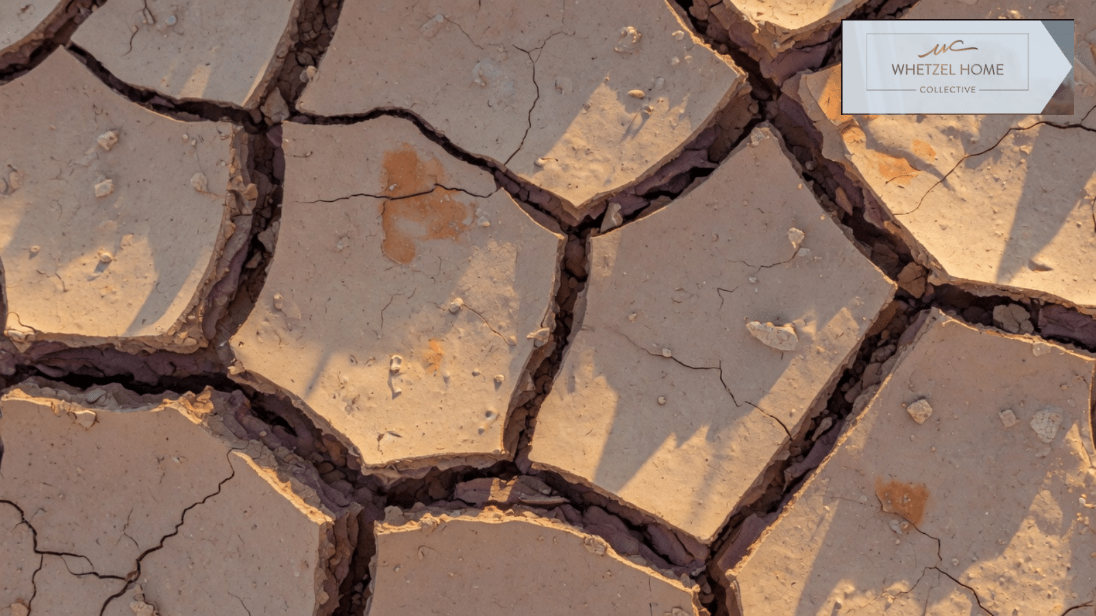 Cracked desert clay soil in warm southern Utah light